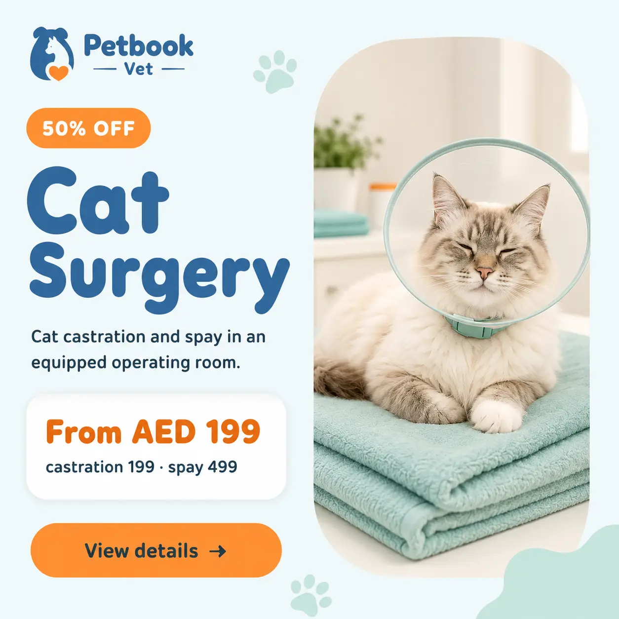A cat resting comfortably in recovery after surgery at Petbook Veterinary Clinic Dubai