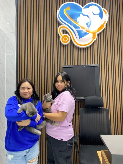 Clients with their kittens under the Petbook clinic logo
