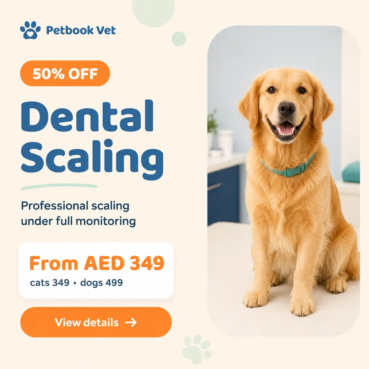 A dog with a clean, healthy smile after dental scaling at Petbook Veterinary Clinic Dubai