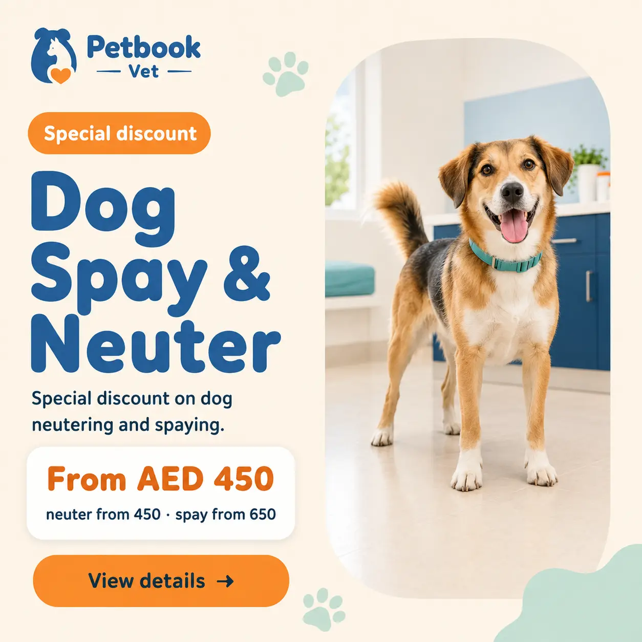 A happy medium-sized dog with its owner at Petbook Veterinary Clinic in Al Quoz, Dubai