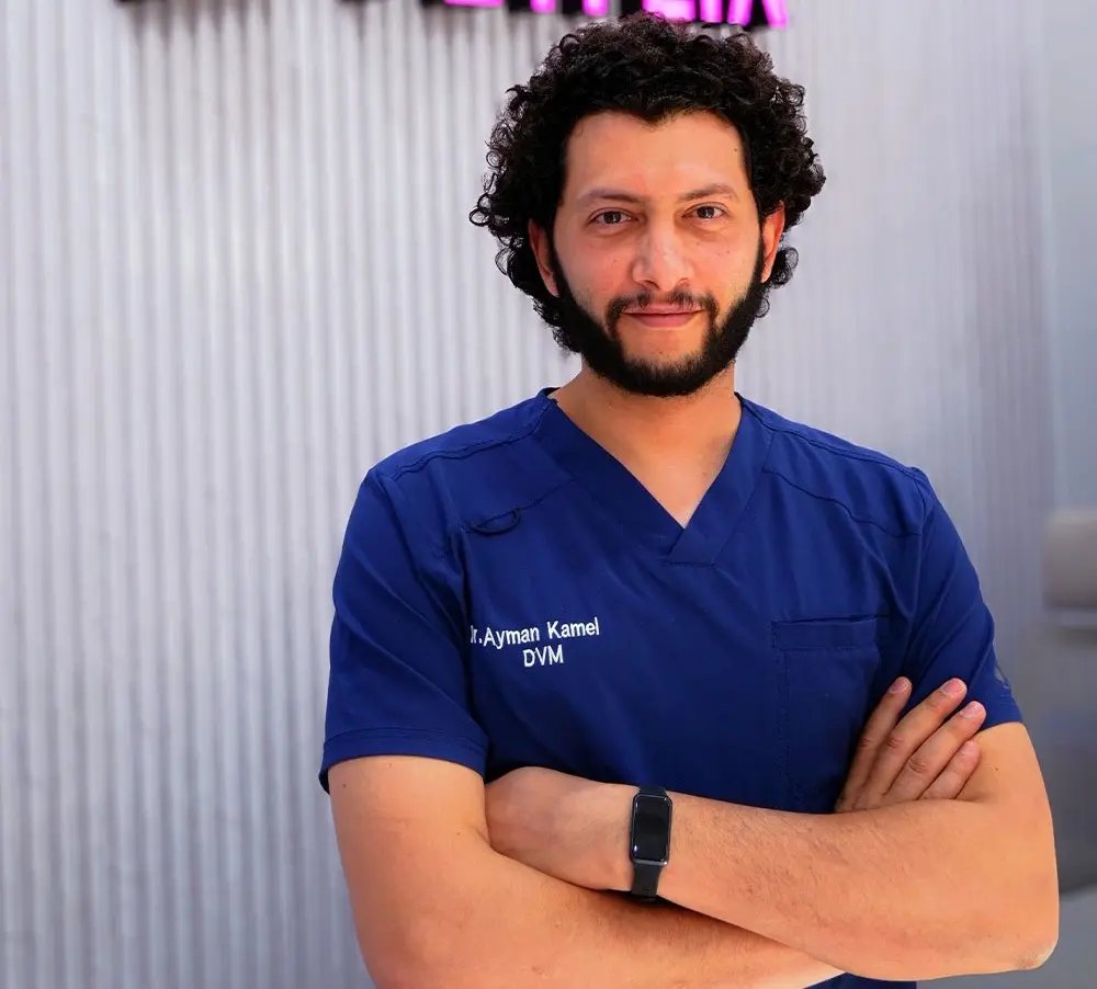Dr. Ayman Kamal