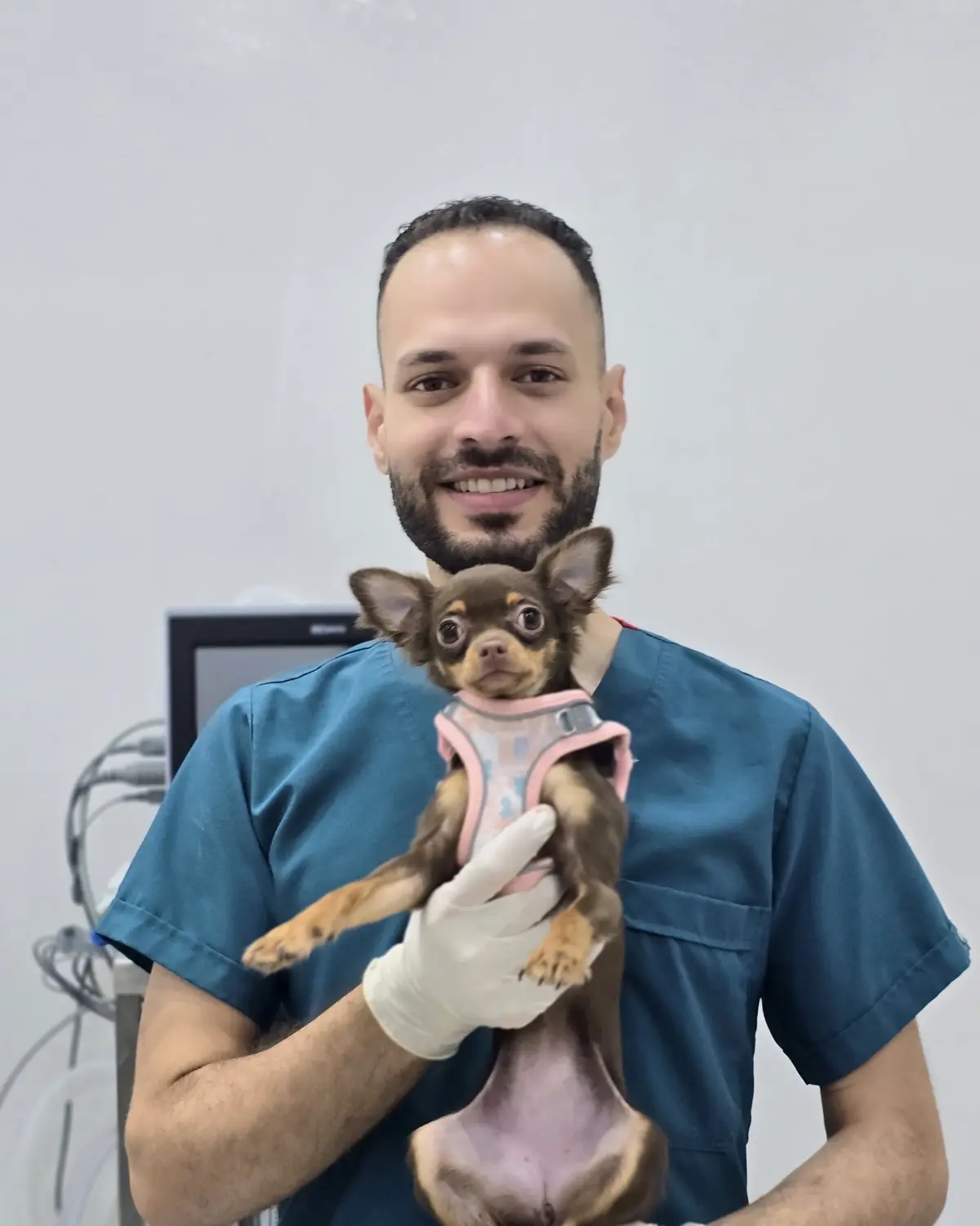 Dr. Emadeldin Taher