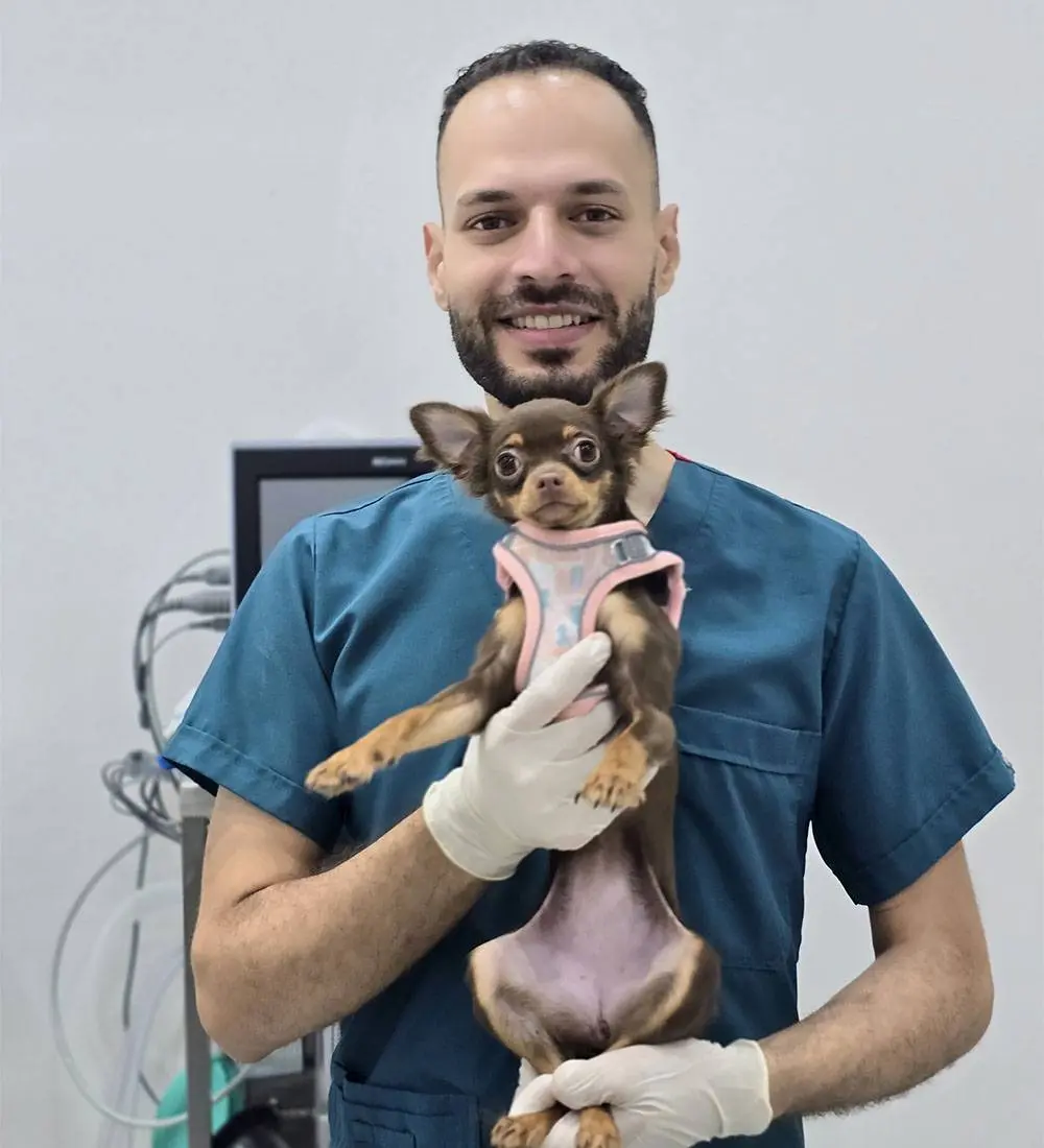 Dr. Emadeldin Taher