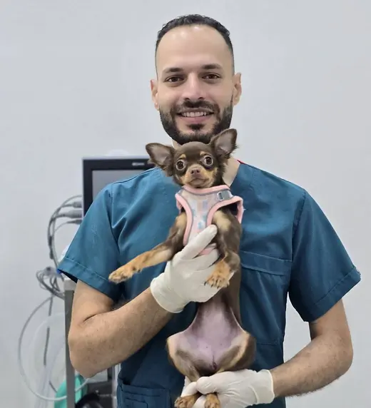 Dr. Emadeldin Taher
