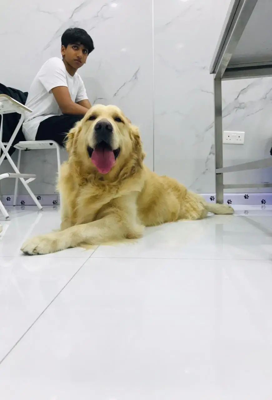 A client waiting with their pet in the reception area at Petbook Veterinary Clinic, Al Quoz 3, Dubai