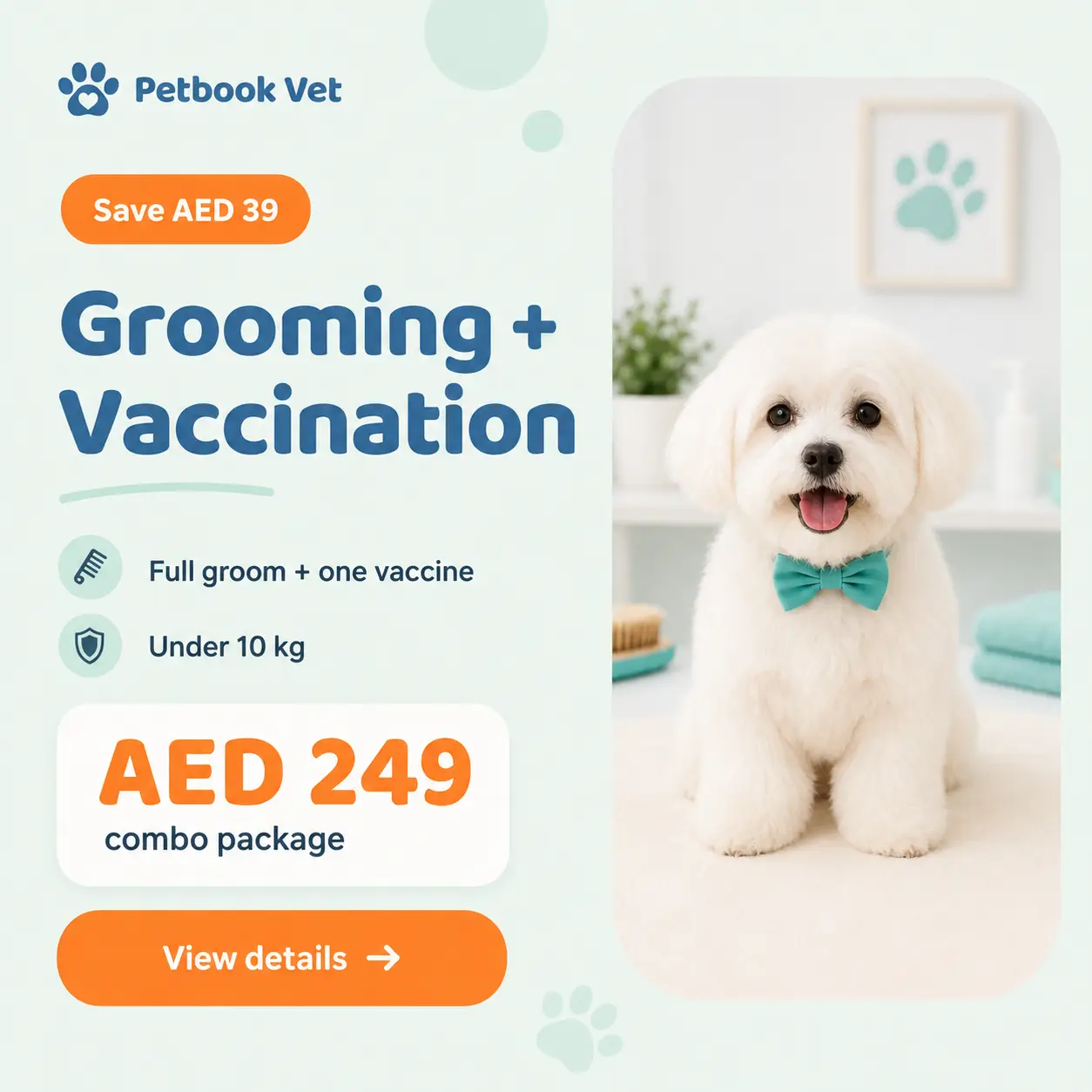 A freshly groomed small dog at Petbook Veterinary Clinic in Al Quoz, Dubai