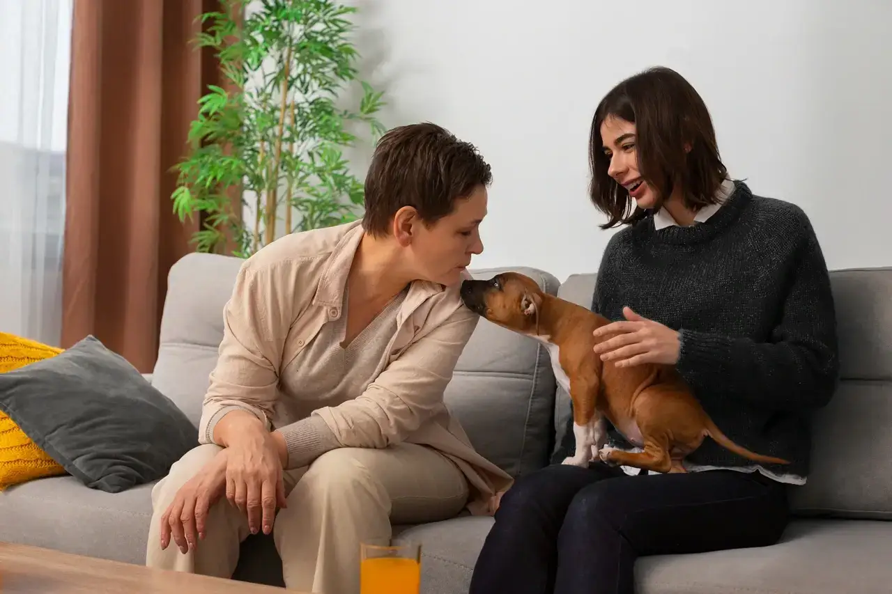 A small tan puppy greeting two people on a living-room sofa during a vet home visit in Dubai