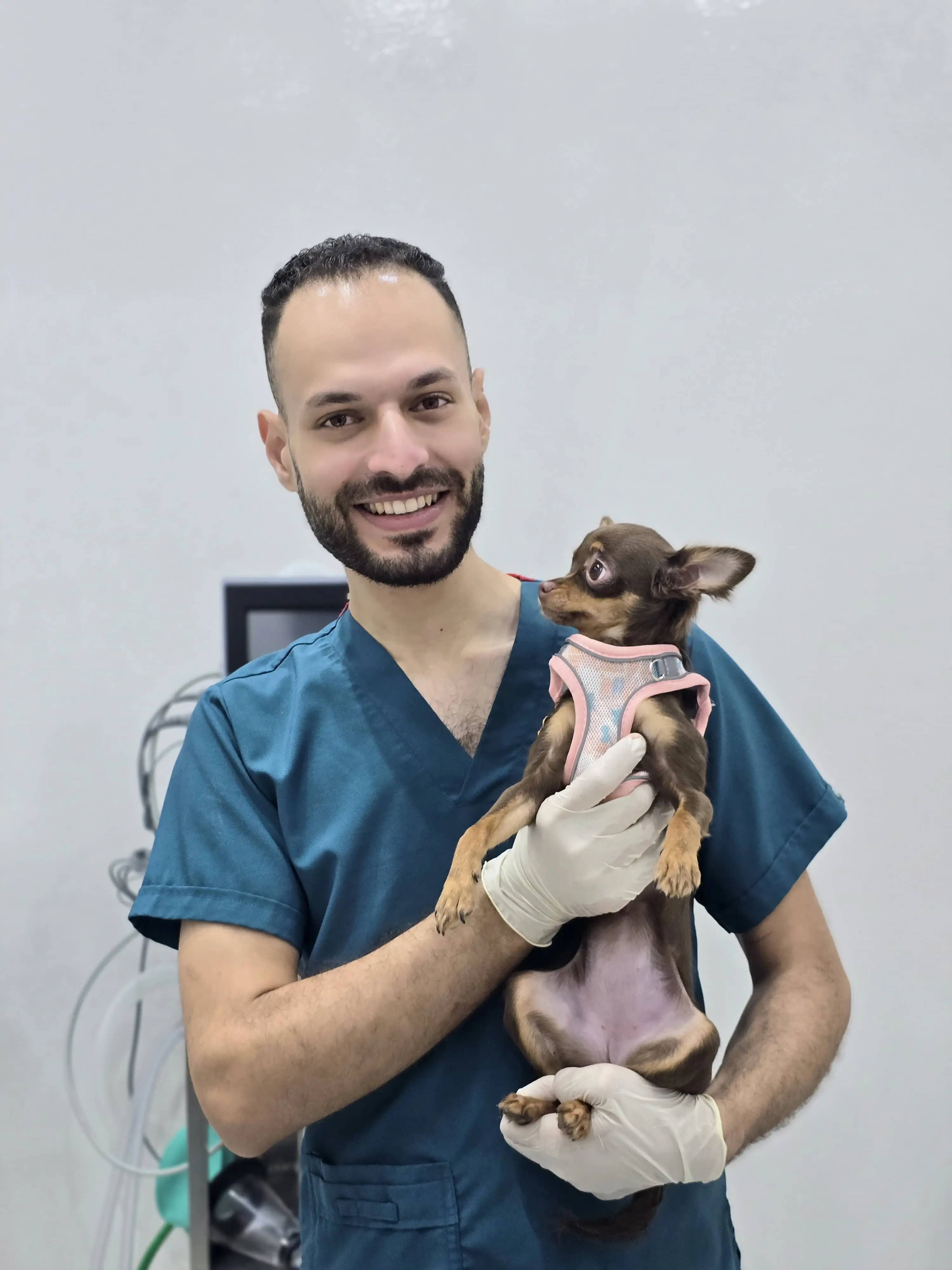 A Petbook veterinarian holding a chihuahua at the clinic in Dubai