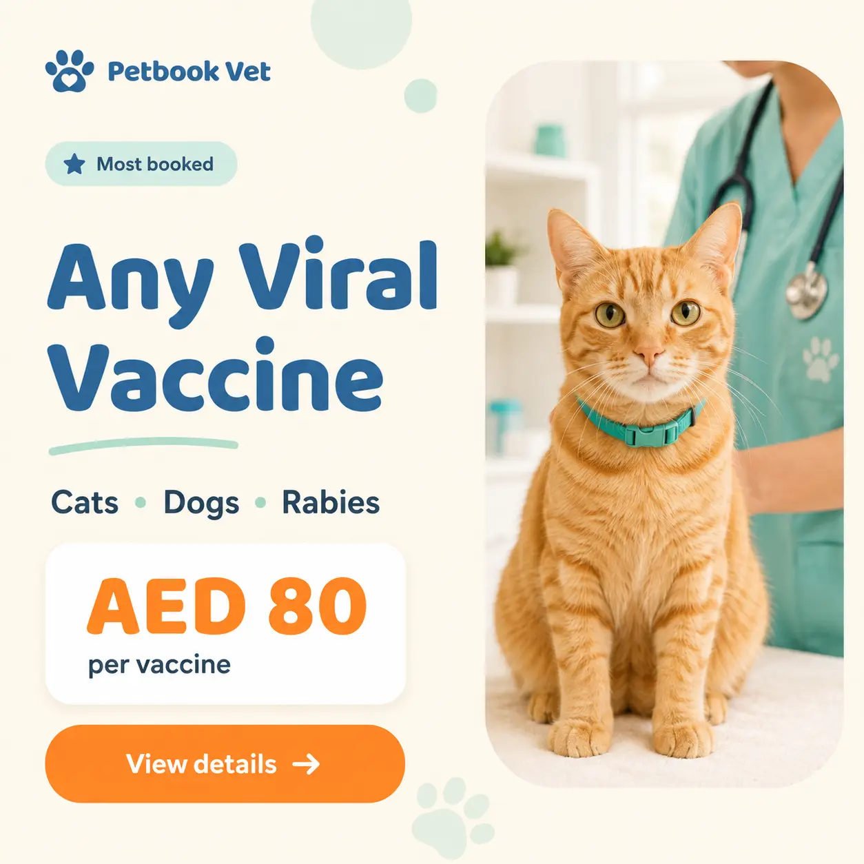 A calm ginger cat being vaccinated at Petbook Veterinary Clinic in Al Quoz, Dubai